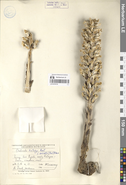 LE 01274110