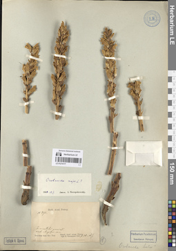 LE 01274177