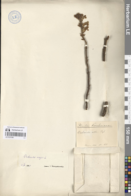 LE 01274190