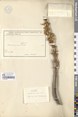 LE 01274198