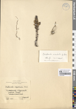 LE 01274242