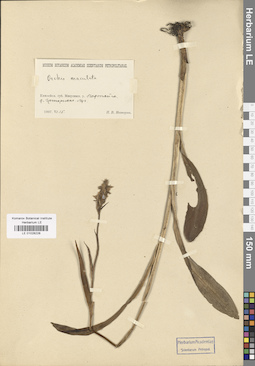 LE 01028228