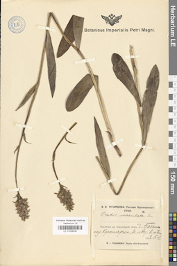 LE 01028230