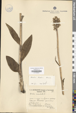 LE 01028232