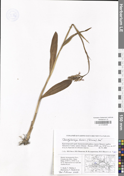 LE 01028238