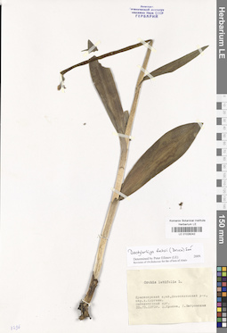 LE 01028242