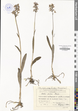 LE 01028243