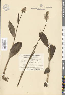 LE 01028245