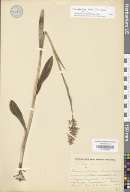 LE 01028283