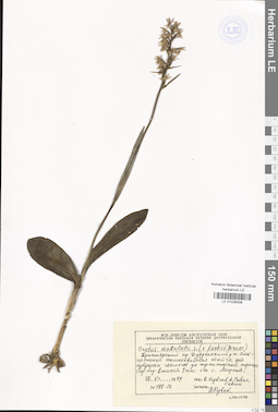 LE 01028308