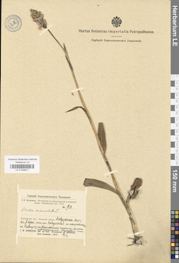 LE 01028311