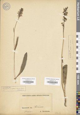 LE 01028316
