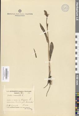 LE 01028330