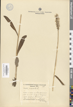 LE 01028331