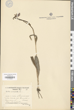 LE 01028332