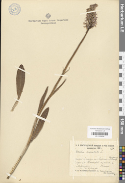 LE 01028334