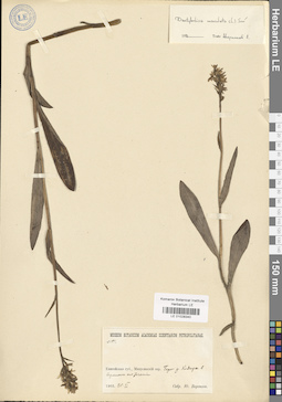 LE 01028340