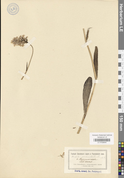 LE 01028343