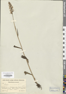LE 01028348