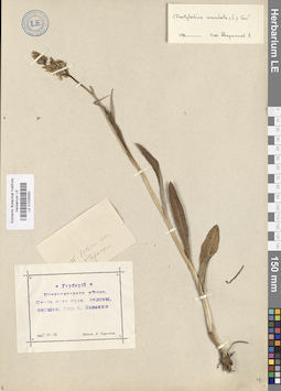 LE 01028350