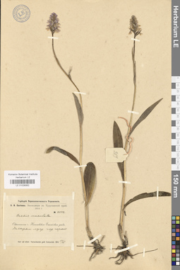 LE 01028352