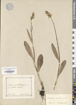 LE 01028353