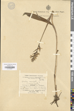 LE 01028357