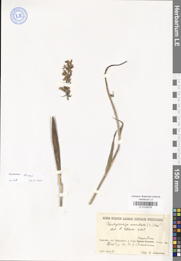 LE 01028725