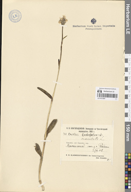 LE 01272587