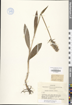 LE 01028220