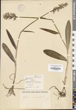 LE 01028249