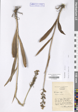 LE 01028255