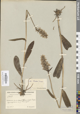 LE 01028257