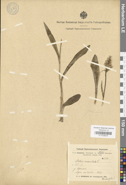 LE 01028318