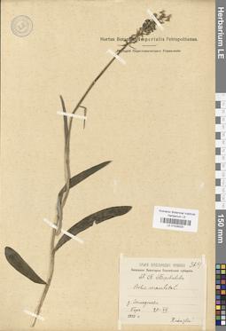 LE 01028320