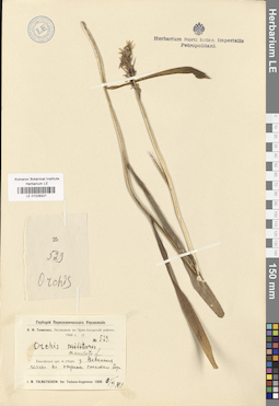 LE 01028321