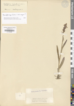 LE 01028366