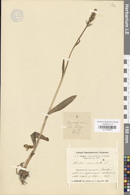 LE 01028372
