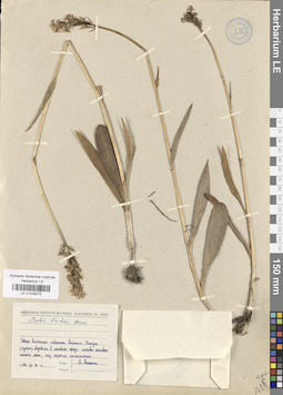 LE 01028373