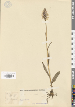 LE 01028374