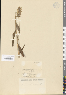 LE 01028376