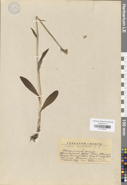 LE 01028377