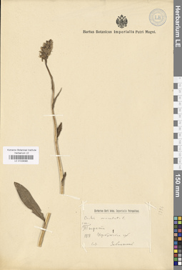 LE 01028380