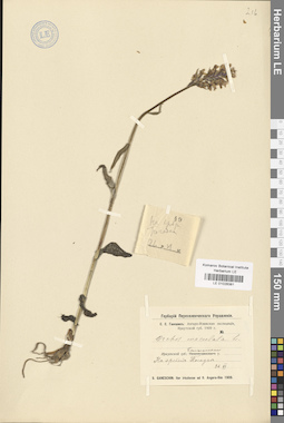 LE 01028381