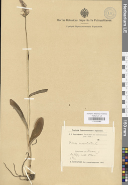 LE 01028383