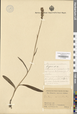 LE 01028384