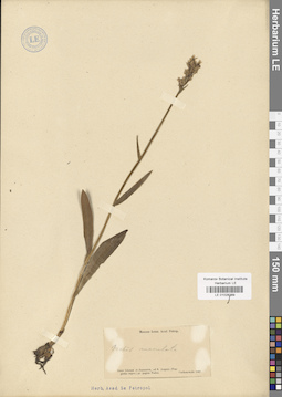 LE 01028389