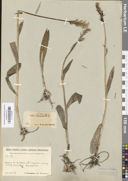 LE 01028391