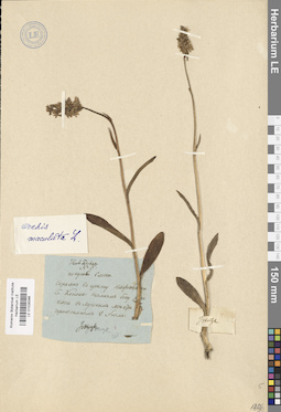 LE 01028396