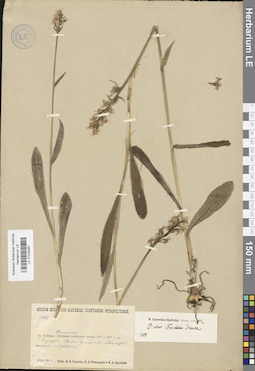 LE 01028397